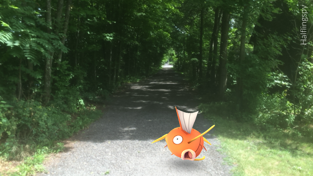 Pokemon Go Magikarp