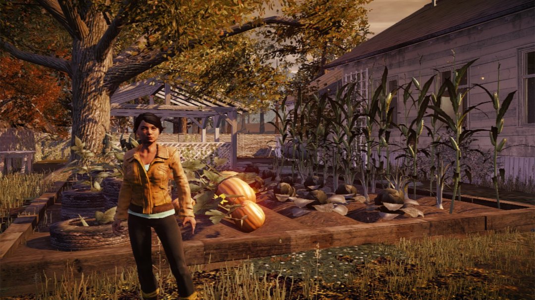 State of Decay garden