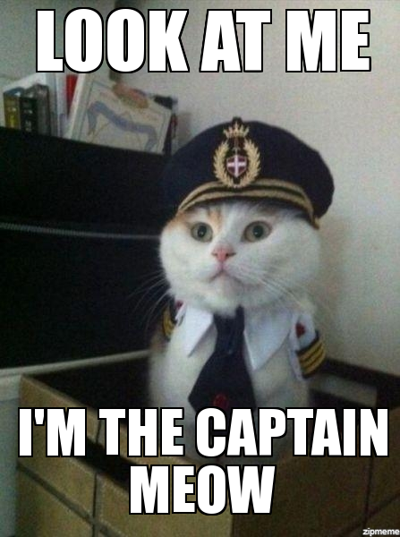 im the captain