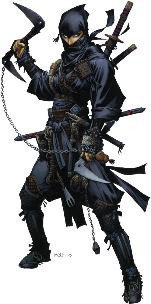 pathfinder ninja